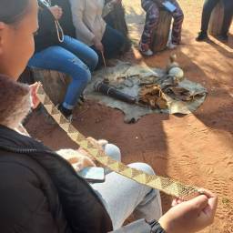 31-clt-girls-in-conservation-2024_original